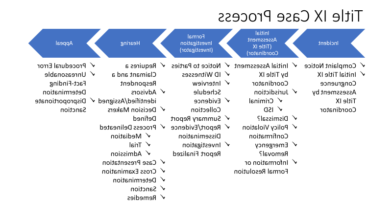 Title X Process Graphic